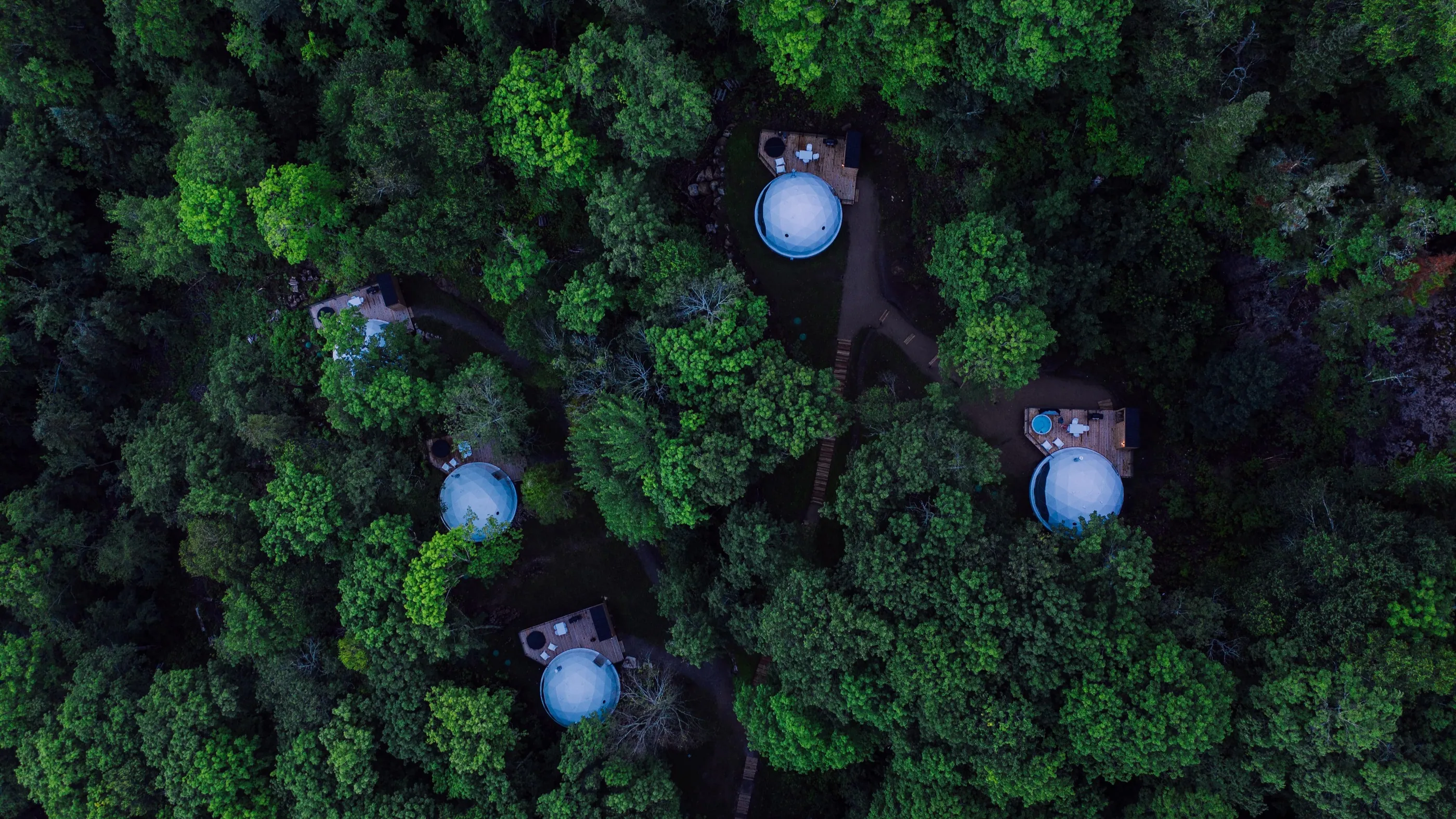 Les cinq dômes dans la forêt, vus du ciel